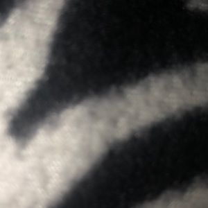 Meet your Posher, Summer